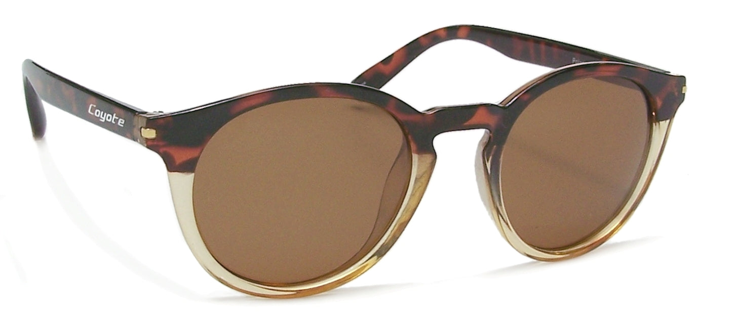 Crosstown Polarized Sunglasses Online USA | Coyote Eyewear